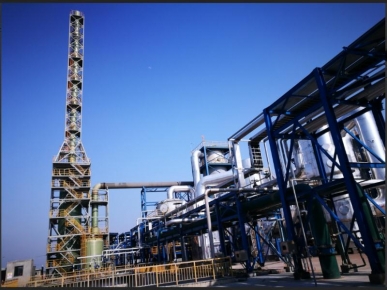 浙江巴陵恒逸己內(nèi)酰胺有限責任公司